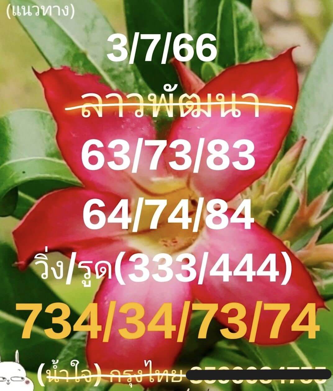หวยลาว 3-7-66 ชุด8