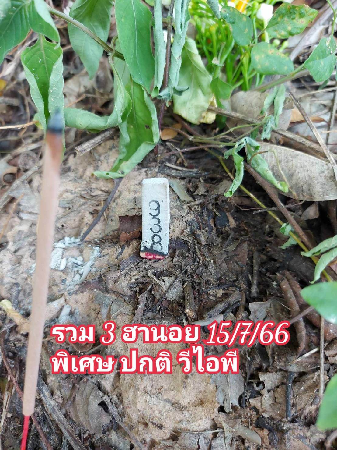 หวยฮานอย15-7-66 ชุด10