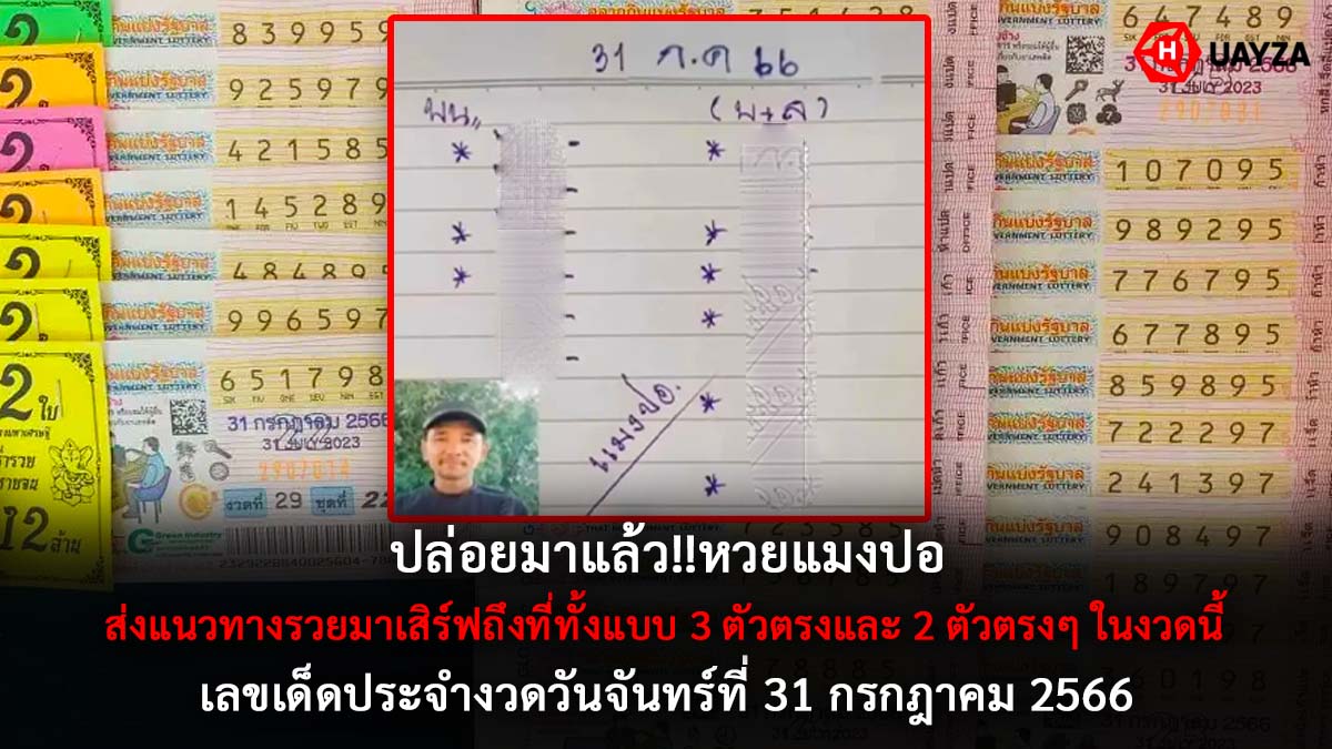 หวยแมงปอ 31 7 66