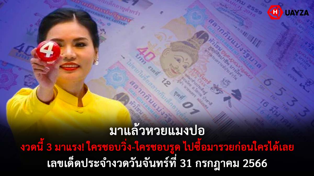หวยแมงปองวด 31 กค 66