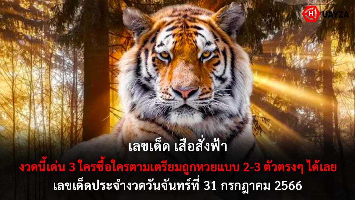 เลขเด็ด เสือสั่งฟ้า 31 7 66