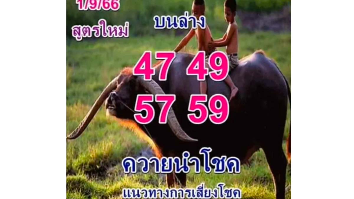 หวย ควายนำโชค งวดวัน 1 กันยายน 2566