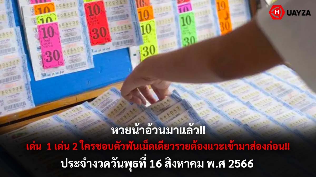 หวยน้าอ้วนงวด 16 8 66