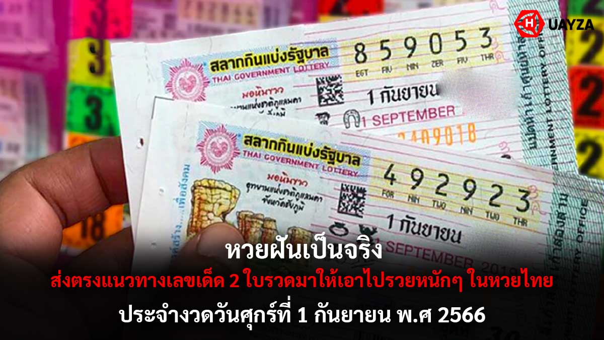 หวยฝันเป็นจริง 1 9 66