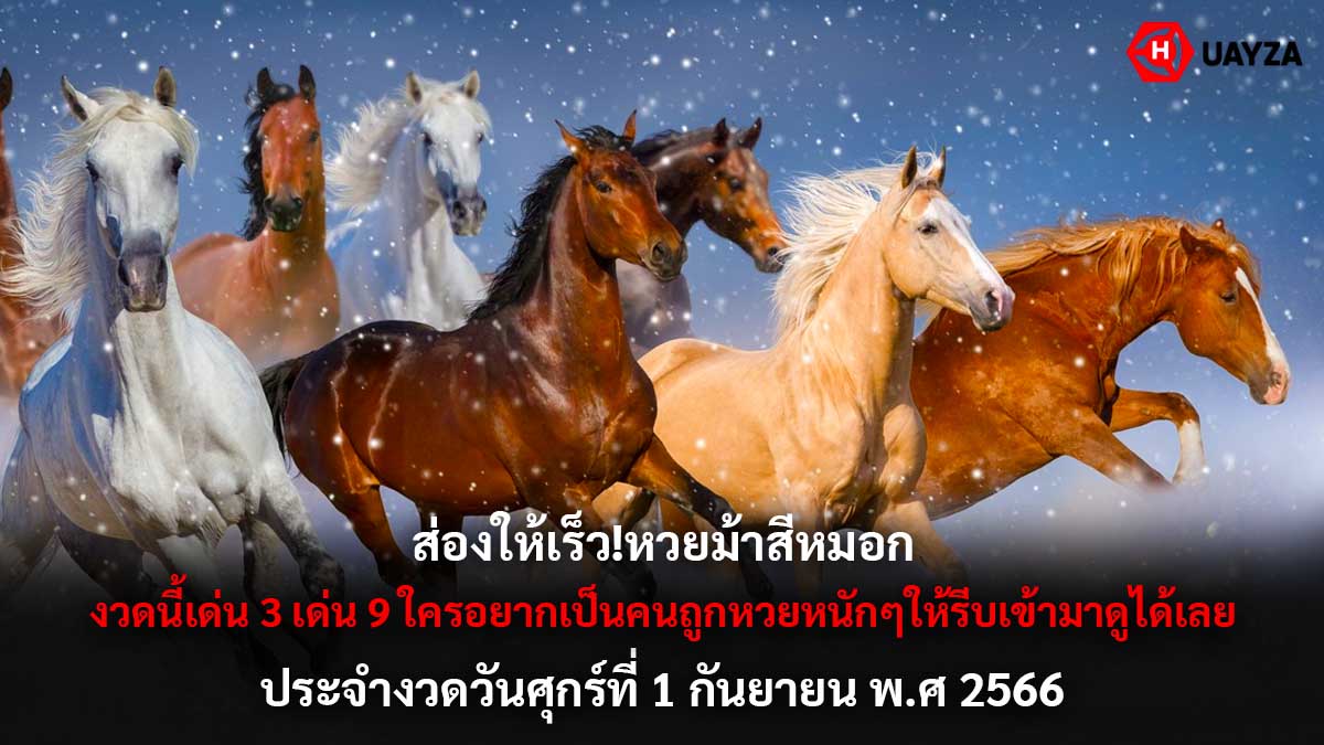 หวยม้าสีหมอก 1 9 66