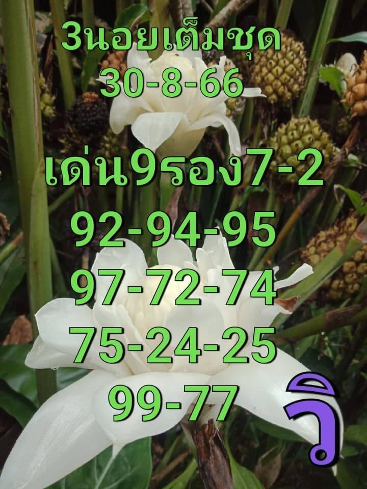 หวยฮานอย 30-8-66 ชุด2