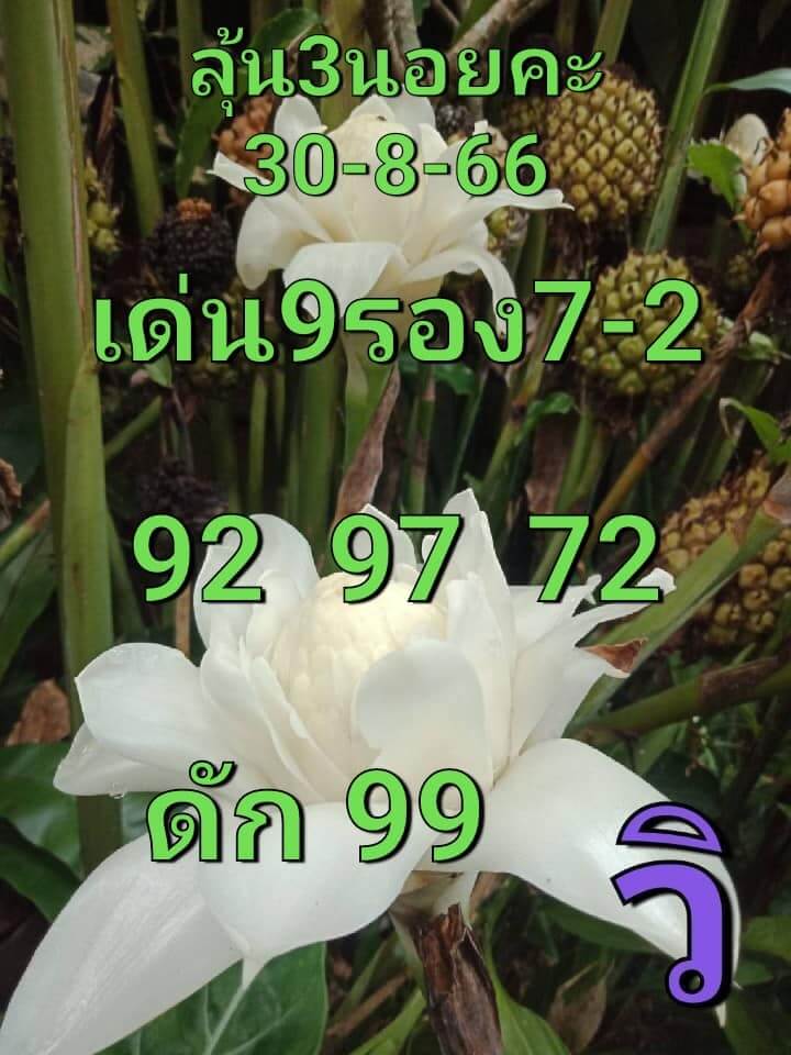 หวยฮานอย 30-8-66 ชุด7