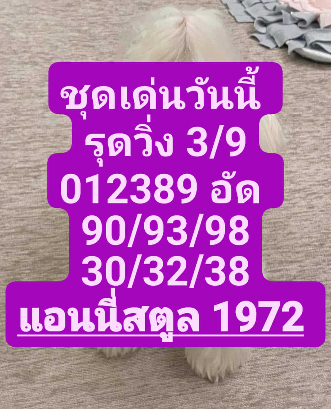 หวยฮานอย17-8-66 ชุด2