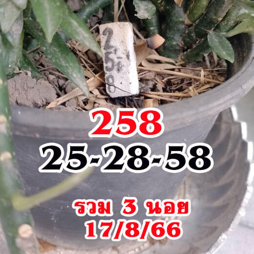 หวยฮานอย17-8-66-ชุด9