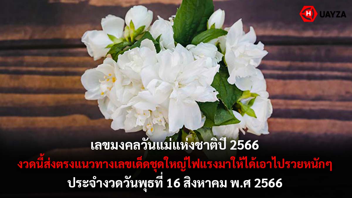 เลขมงคลวันแม่ปี 66 งวด 16 8 66