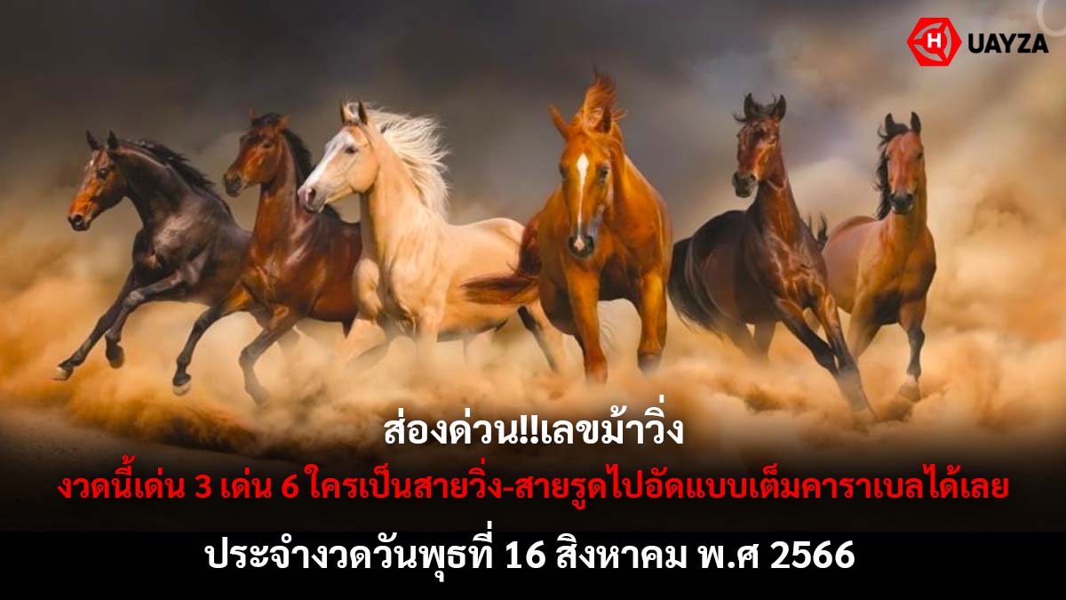 เลขม้าวิ่ง 16 8 66