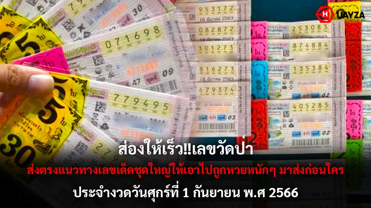 เลขวัดป่างวด 1 9 66