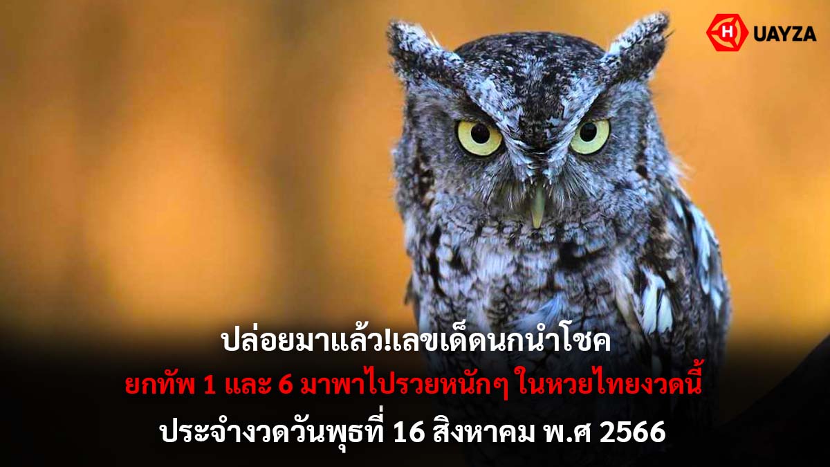 เลขเด็ด นกนำโชค 16 8 66