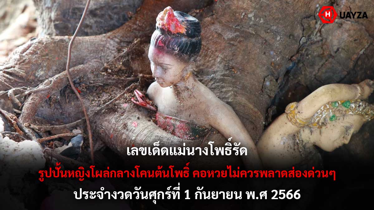 เลขเด็ดแม่นางโพธิ์รัด 1 9 66