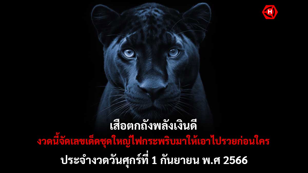 เสือตกถังพลังเงินดี 1 9 66
