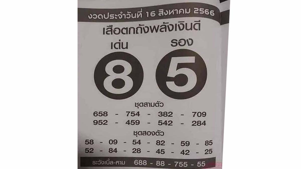 เสือตกถังพลังเงินดี งวด 16 สิงหาคม 2566