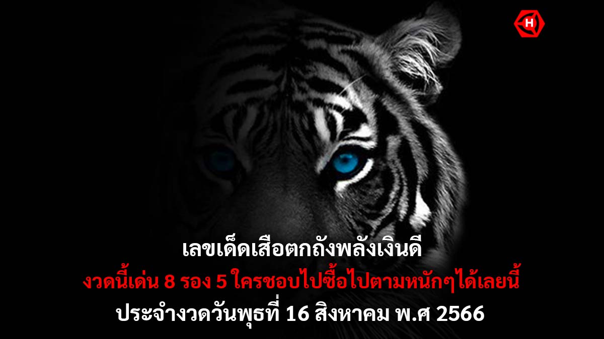 เสือตกถังพลังเงินดี 16 8 66