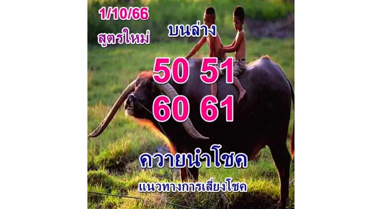 หวยควายนำโชคงวด 1 ตุลาคม 2566