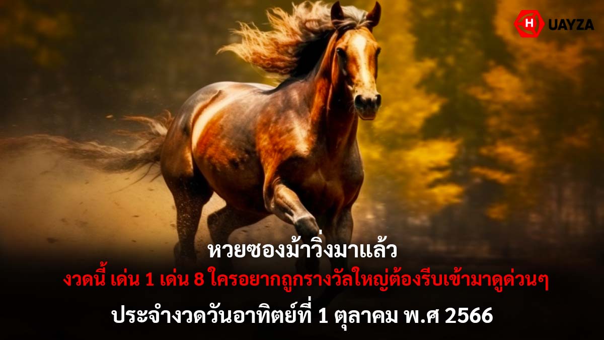หวยซองม้าวิ่ง 1 10 66