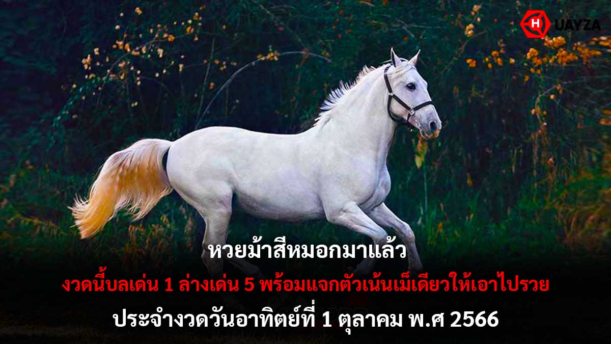 หวยม้าสีหมอก 1 10 66