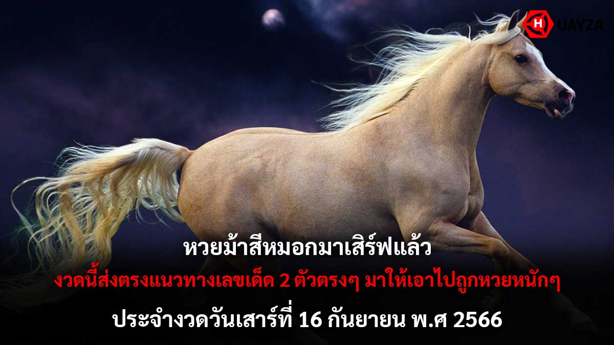 หวยม้าสีหมอก 16 9 66