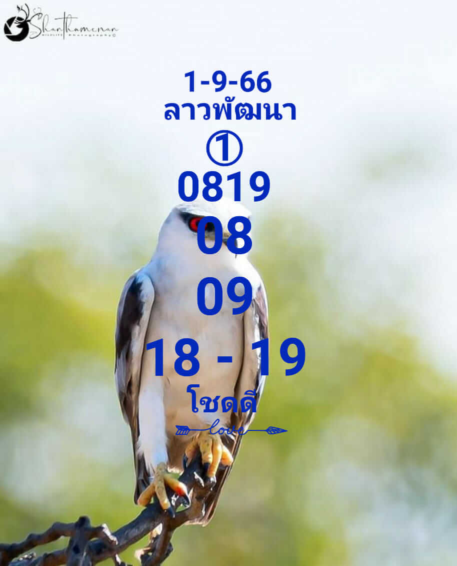 หวยลาว 1-9-66 ชุด2