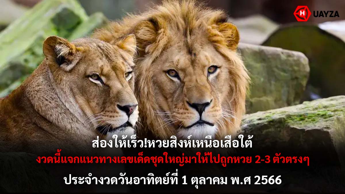 หวยสิงห์เหนือเสือใต้ 1 10 66