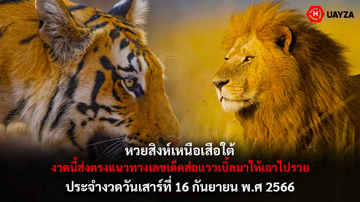 หวยสิงห์เหนือเสือใต้ 16 9 66