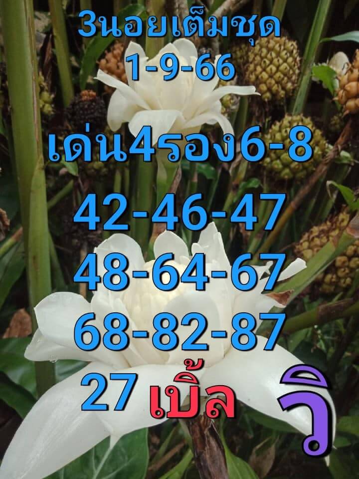 หวยฮานอย 1-9-66 ชุด2