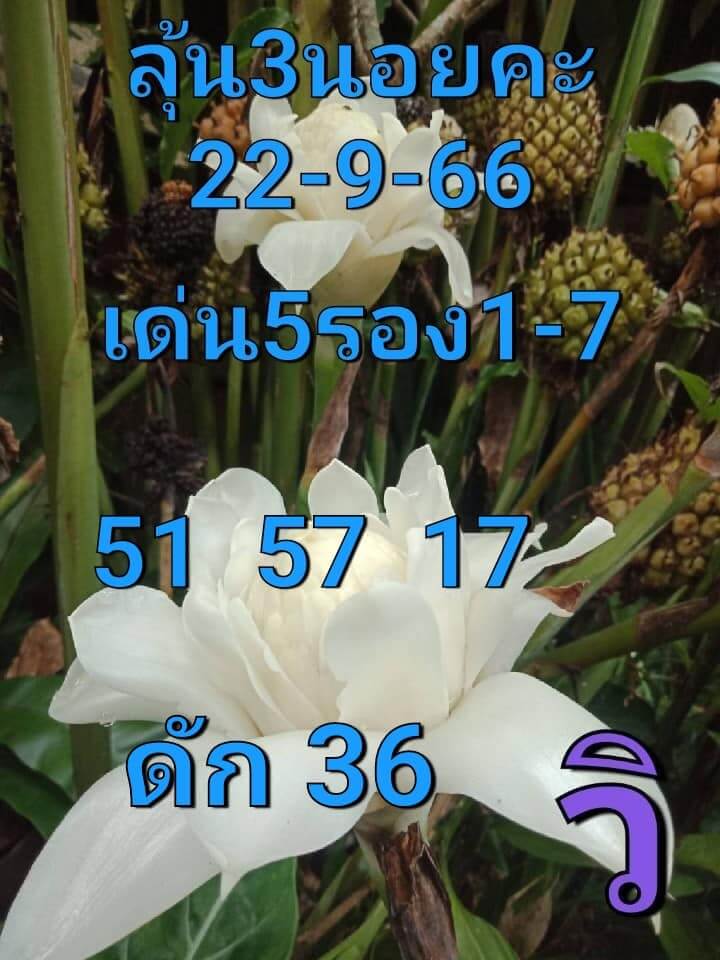 หวยฮานอย 22-9-66 ชุด5