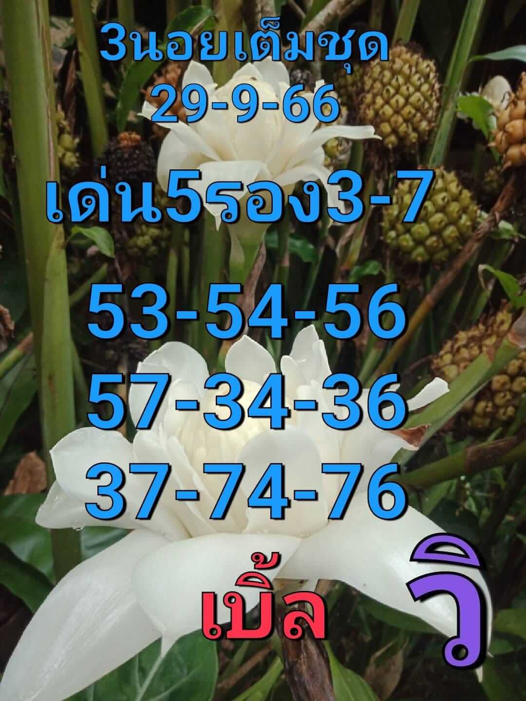 หวยฮานอย 29-9-66 ชุด2