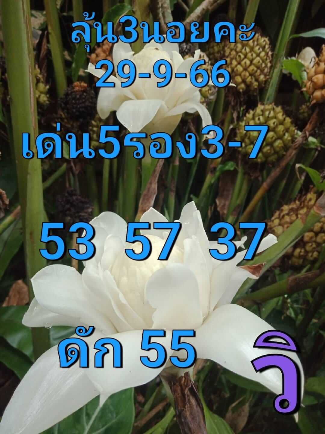 หวยฮานอย 29-9-66 ชุด3