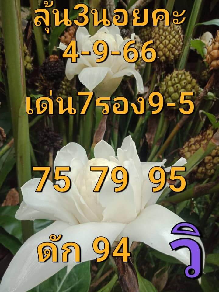 หวยฮานอย 4-9-66 ชุด2