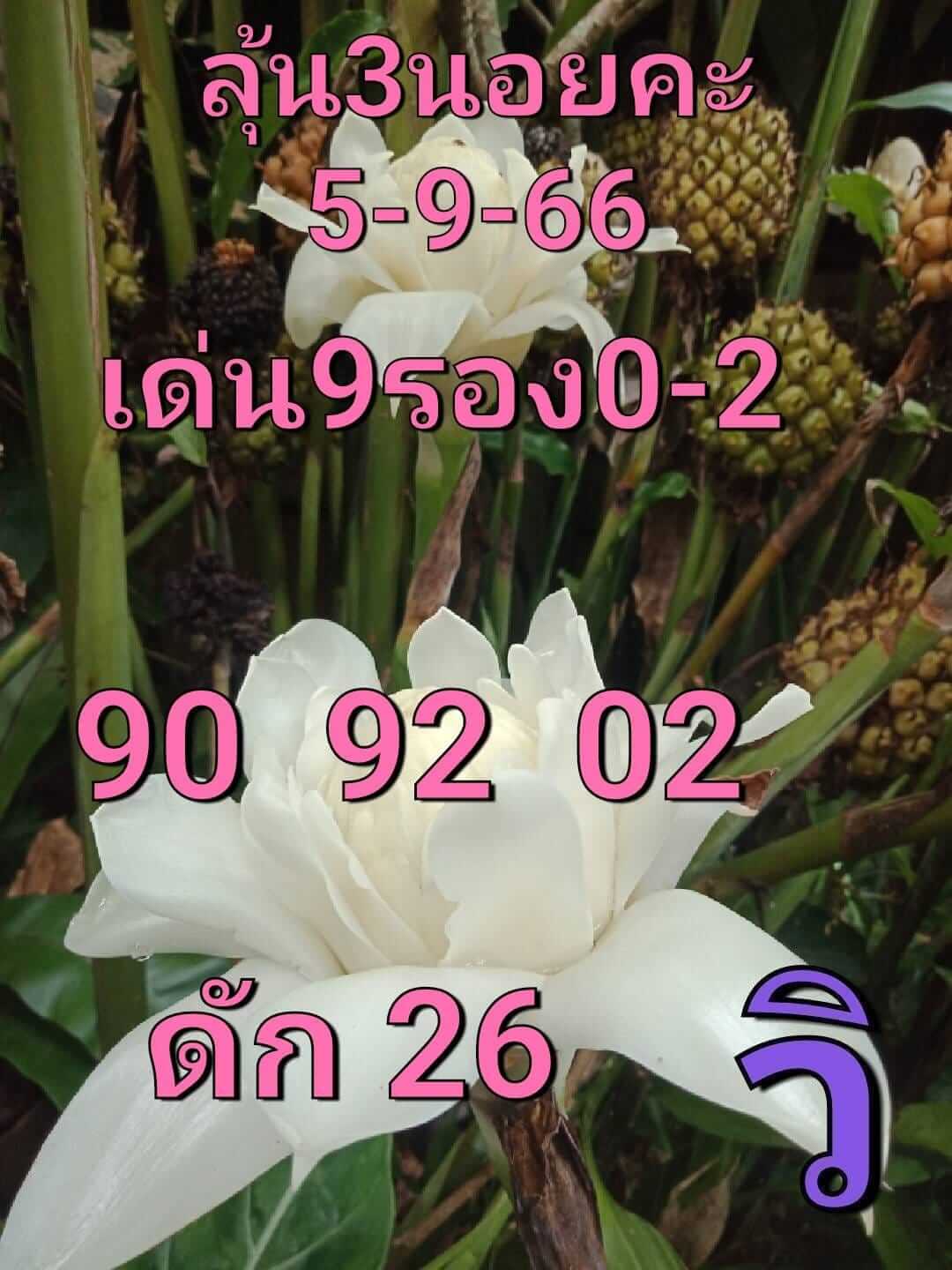 หวยฮานอย 5-9-66 ชุด4