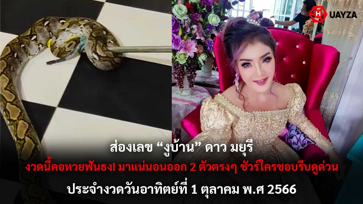 เลขงูบ้าน ดาว มยุรี 1 10 66