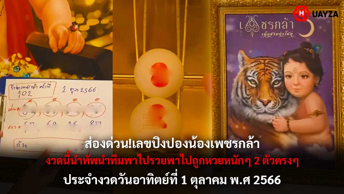 เลขปิงปองน้องเพชรกล้า 1 10 66