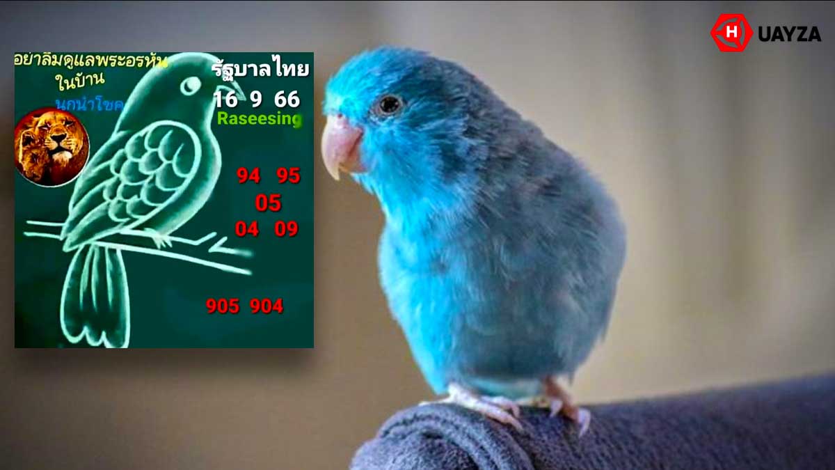 เลขเด็ด นกนำโชค งวดวันที่ 16 กันยายน 2566