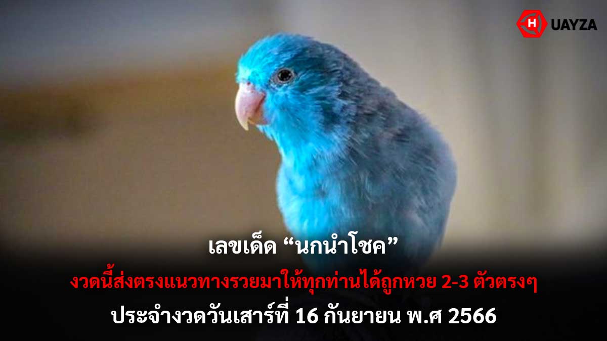 เลขเด็ด นกนำโชค 16 9 66