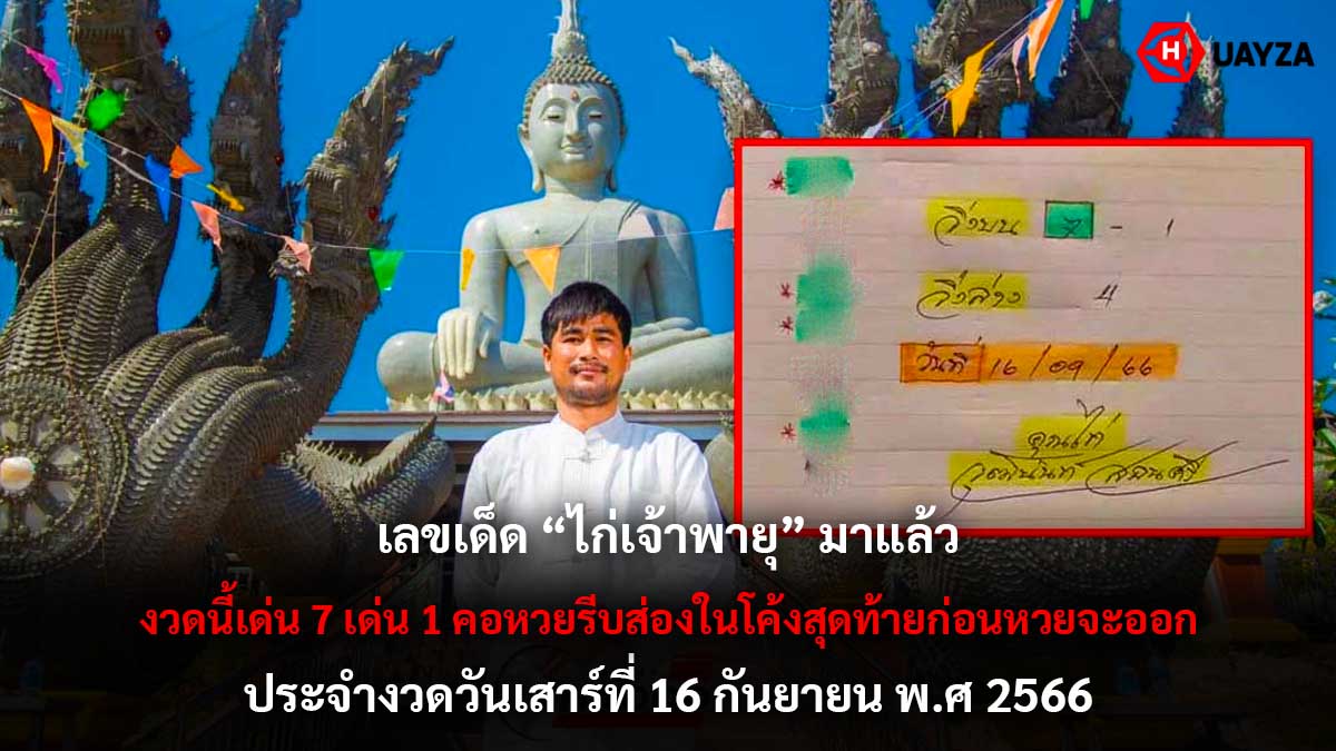 เลขเด็ด ไก่เจ้าพายุ 16 9 66