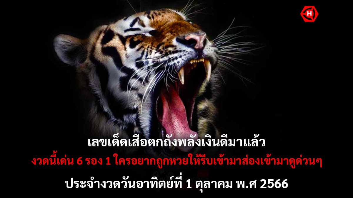 เสือตกถังพลังเงินดี 1 10 66