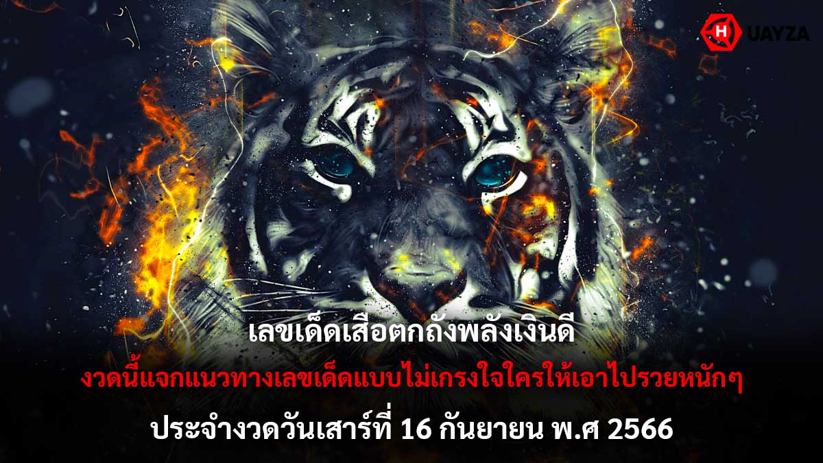 เสือตกถังพลังเงินดี-16-9-66