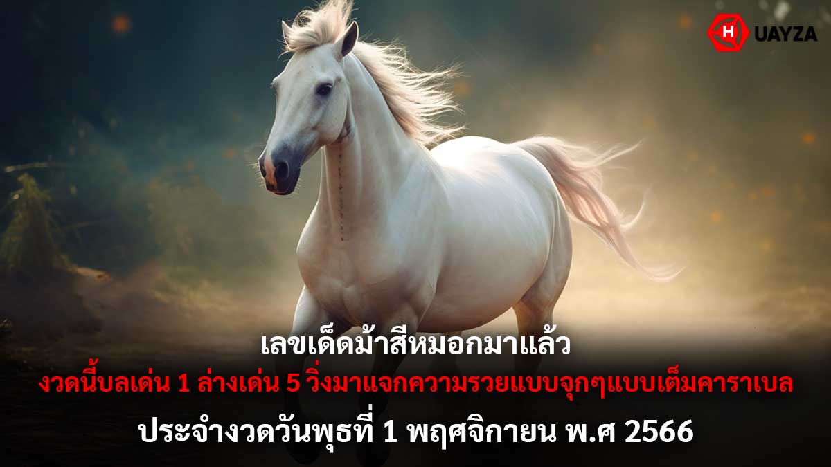 หวยม้าสีหมอก 1 11 66