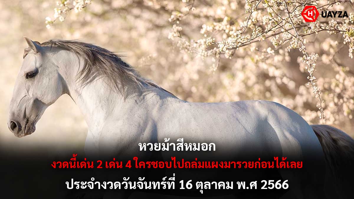 หวยม้าสีหมอก 16 10 66