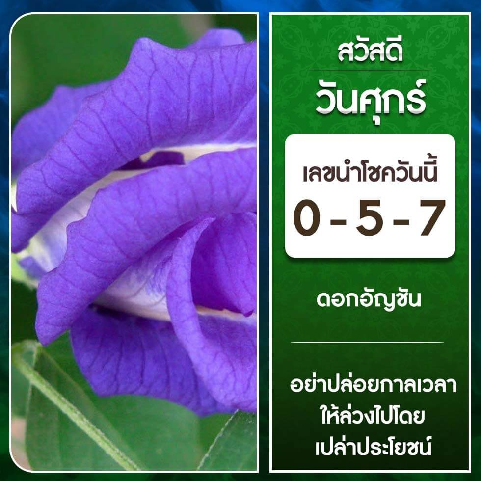 หวยลาว 6-10-66 ชุด1