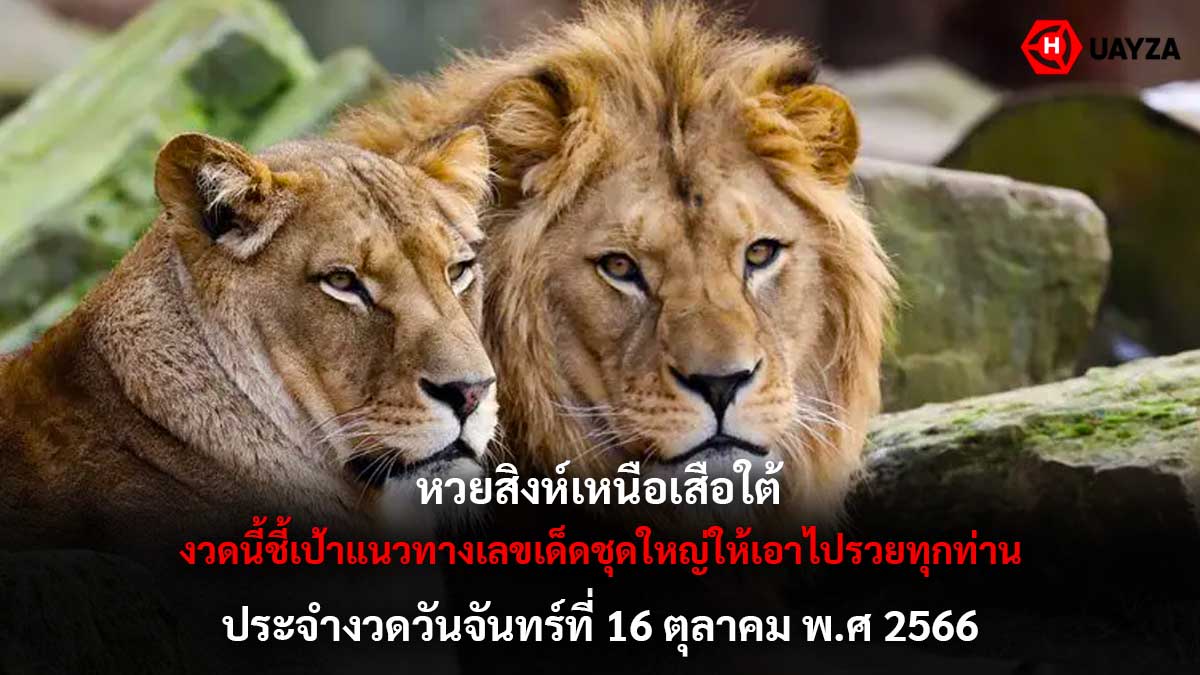 หวยสิงห์เหนือเสือใต้ 16 10 66