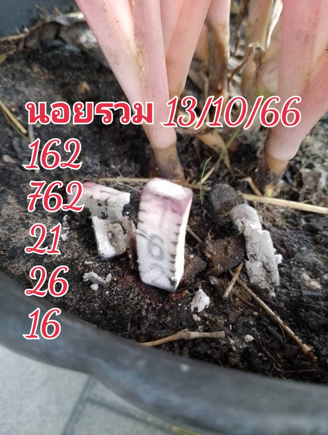 หวยฮานอย 13-10-66 ชุด9
