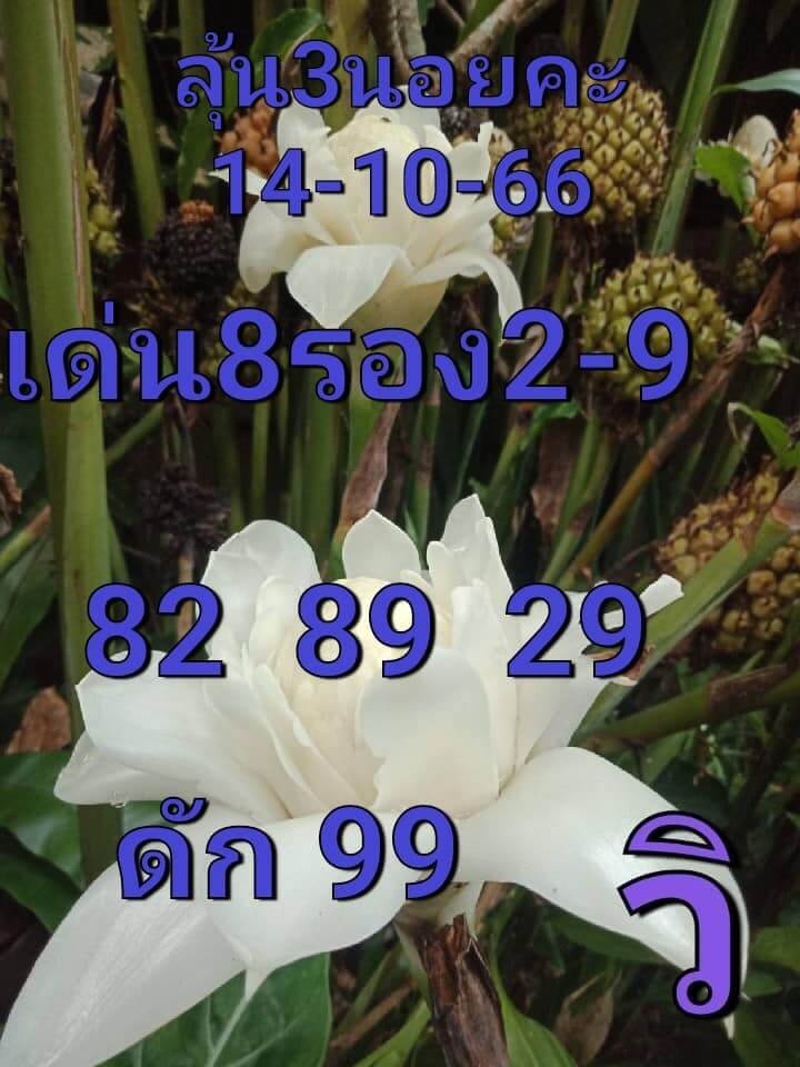 หวยฮานอย 14-10-66 ชุด5