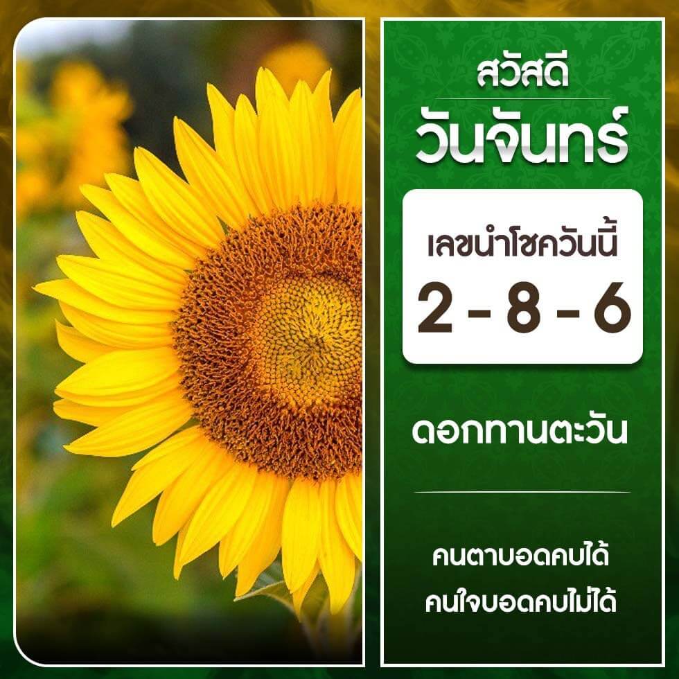 หวยฮานอย 2-10-66 ชุด6