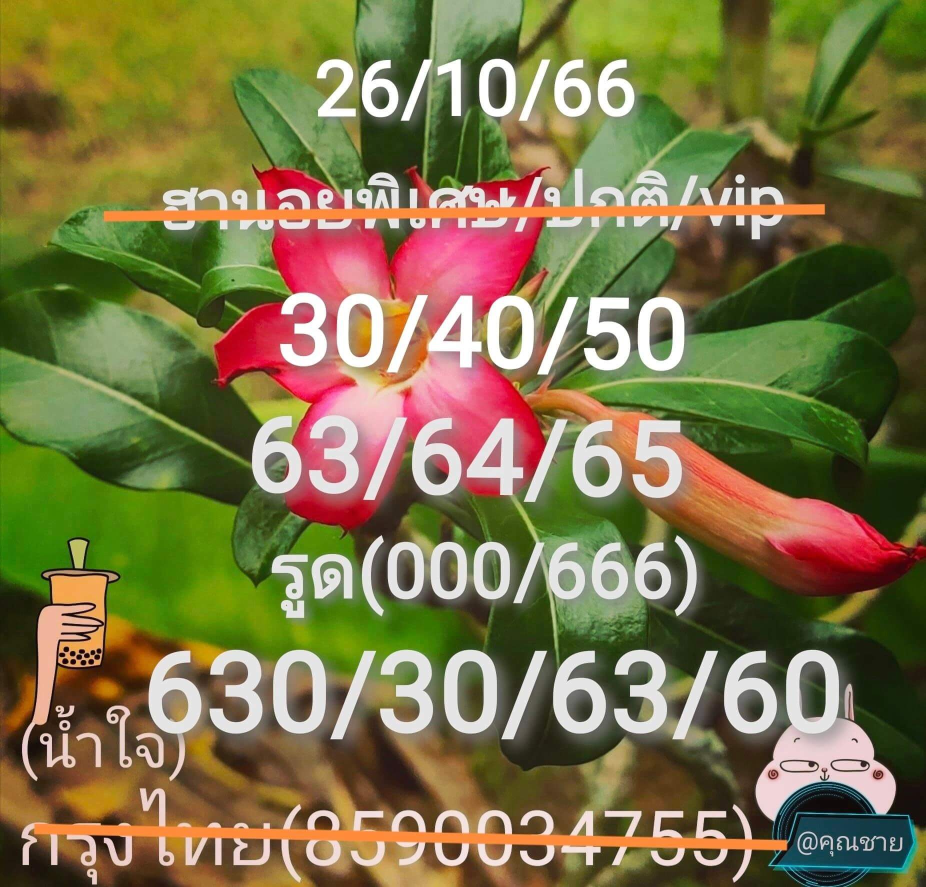 หวยฮานอย 26-10-66 ชุด4