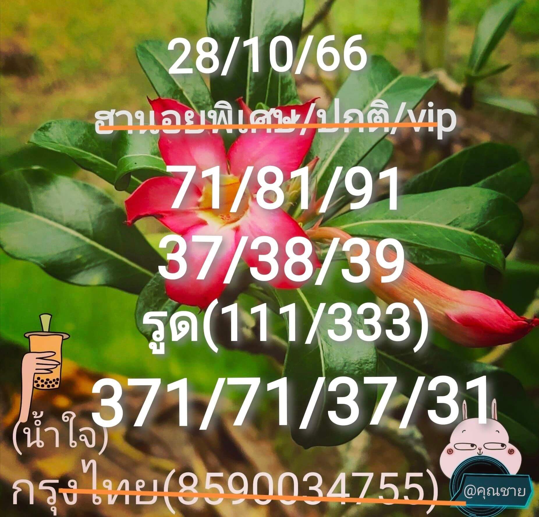 หวยฮานอย 28-10-66 ชุด9